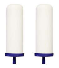 ProOne G2.0 Water and Fluoride filters